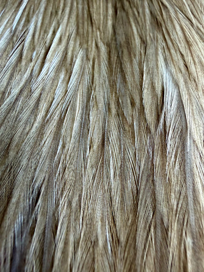 Brownish Grey Cape 853-SH-E-L