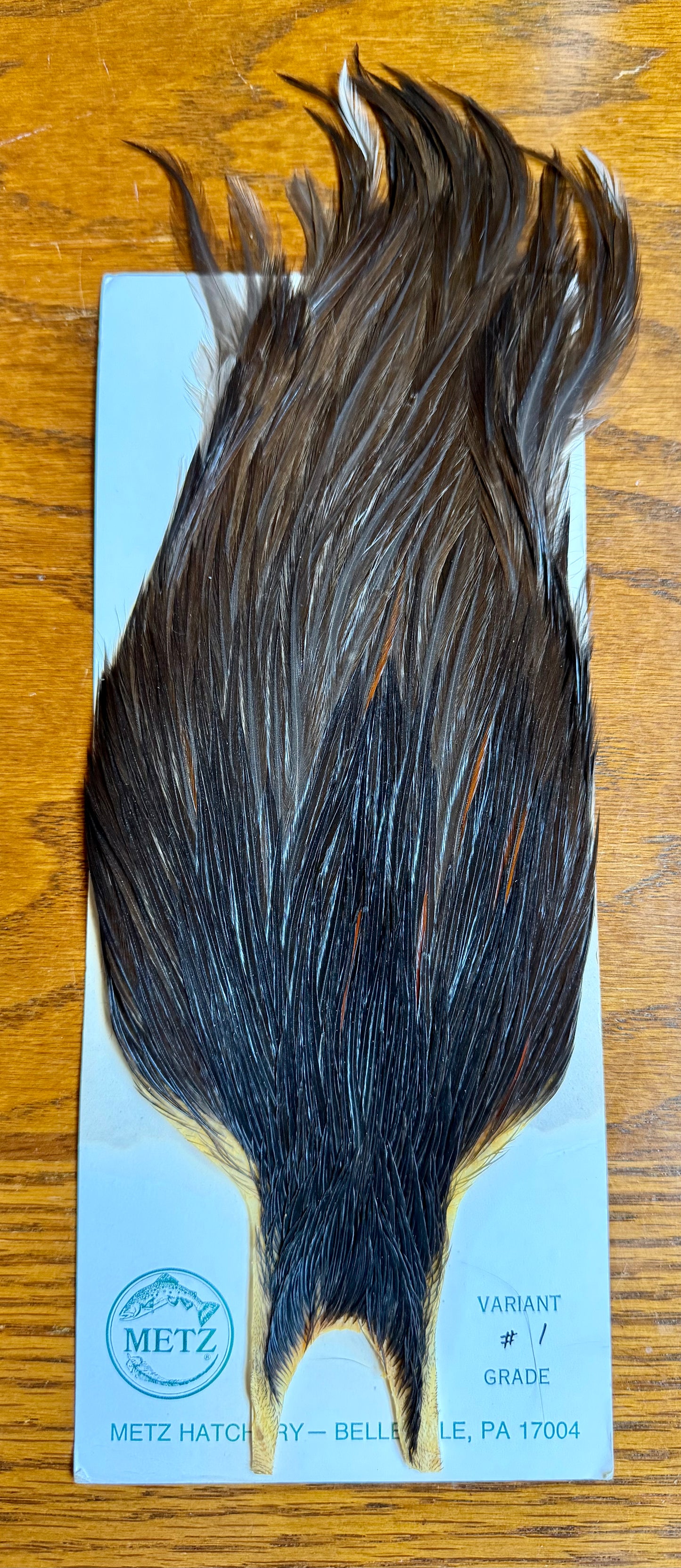 Metz Cape Grade #1 Variant 639-SH-E-L