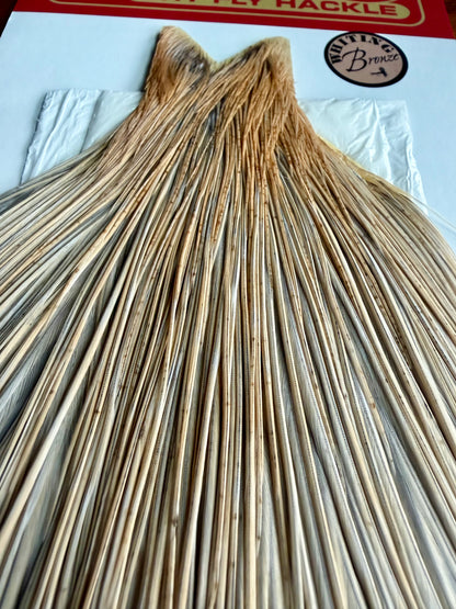 Whiting Farms Bronze Grade Cape Unique Variant 621-SH-E-L