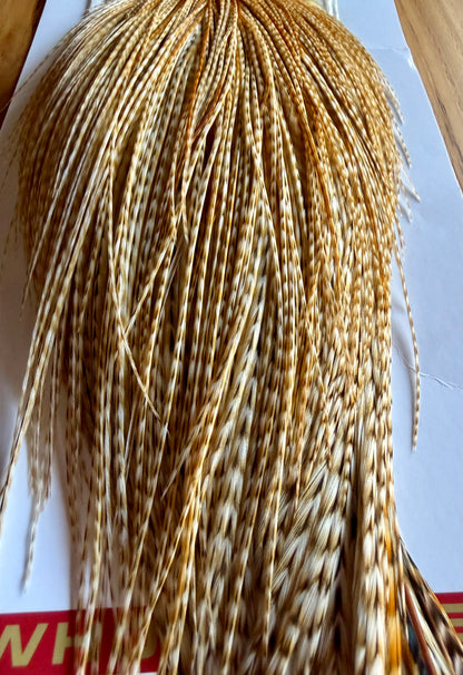 Whiting Farms Silver Cape Barred Medium Ginger 486-SH-E-L