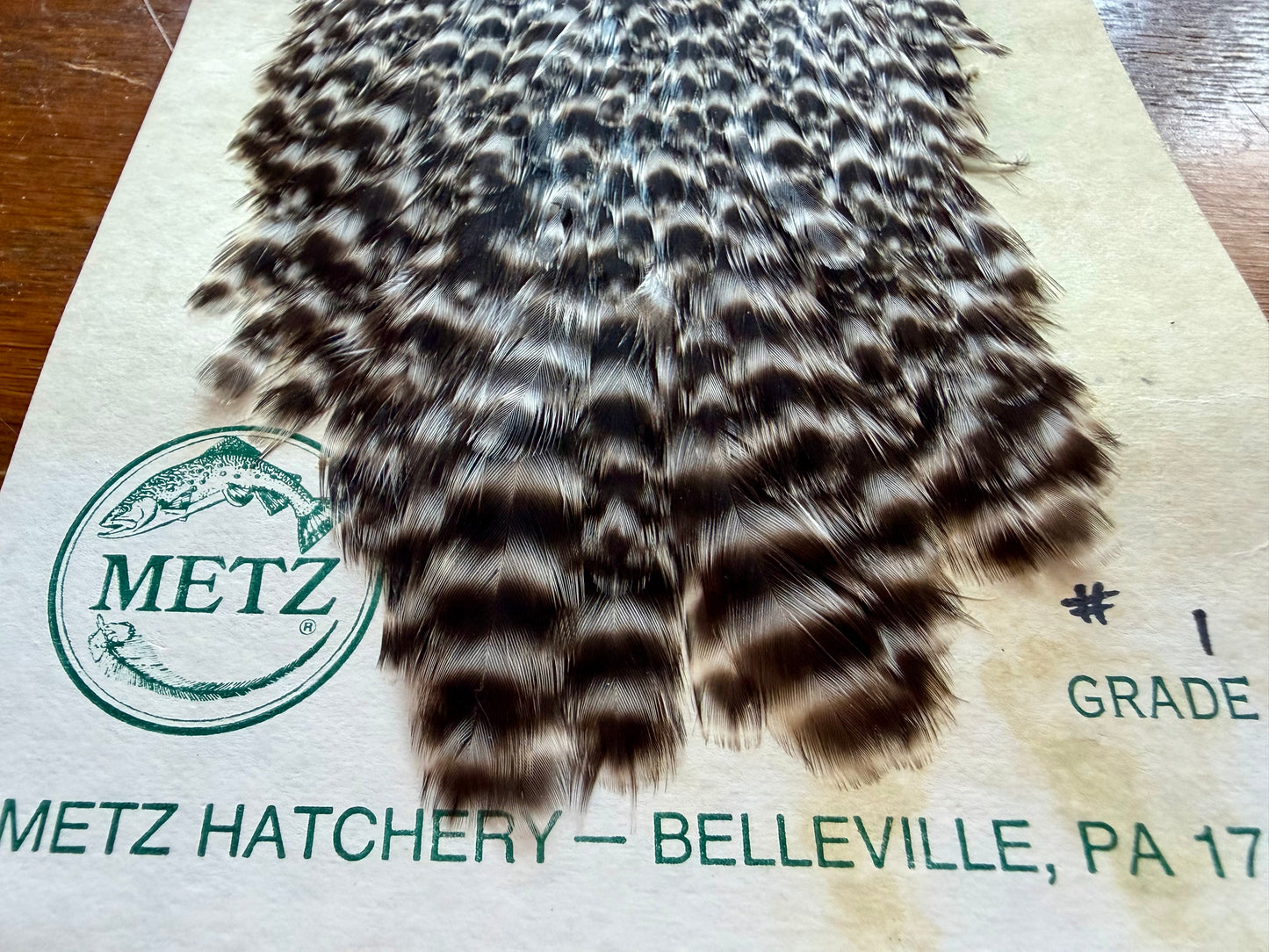 Metz Grade #1 Hen Cape Grizzly 528-SH-E-L
