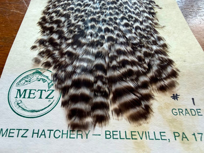 Metz Grade #1 Hen Cape Grizzly 528-SH-E-L