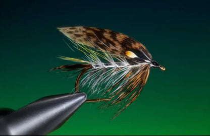 Cookshill Scottish Red Grouse Hackles