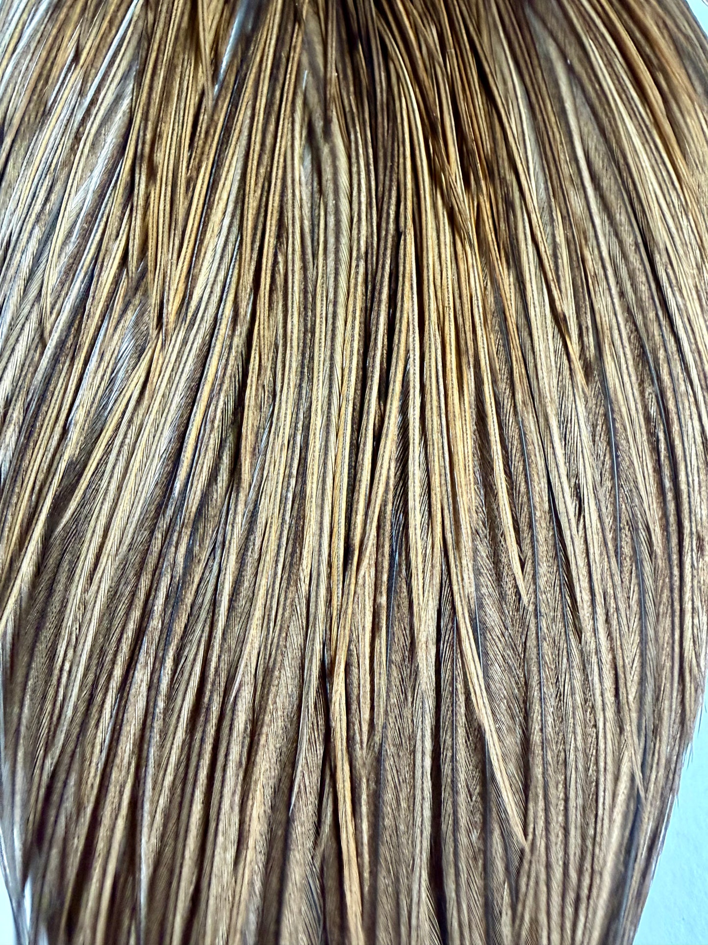 Whiting Heritage Hackle Whole Cape Mixed, Combo 659-SH-E-L