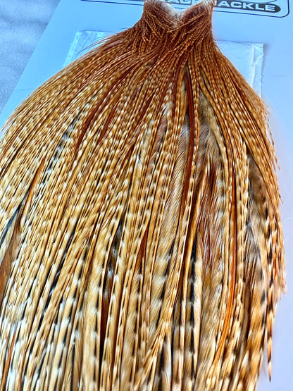 Whiting Farms Heritage Hackle Cape Grade 2 Mixed Combo 176-SH-E-L