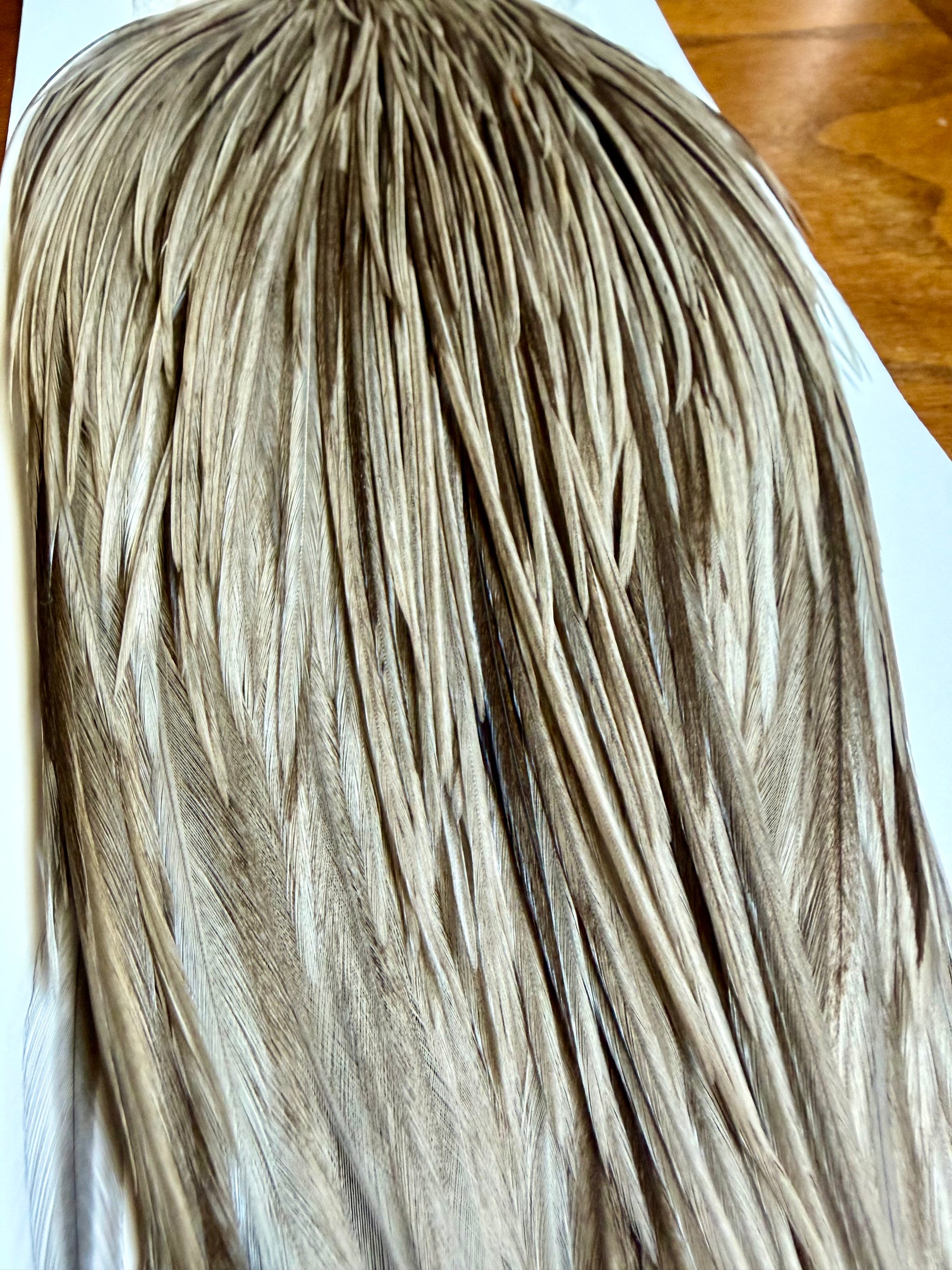 Whiting Hebert Miner Silver Grade Cape Unique Variant 781-SH-E-L