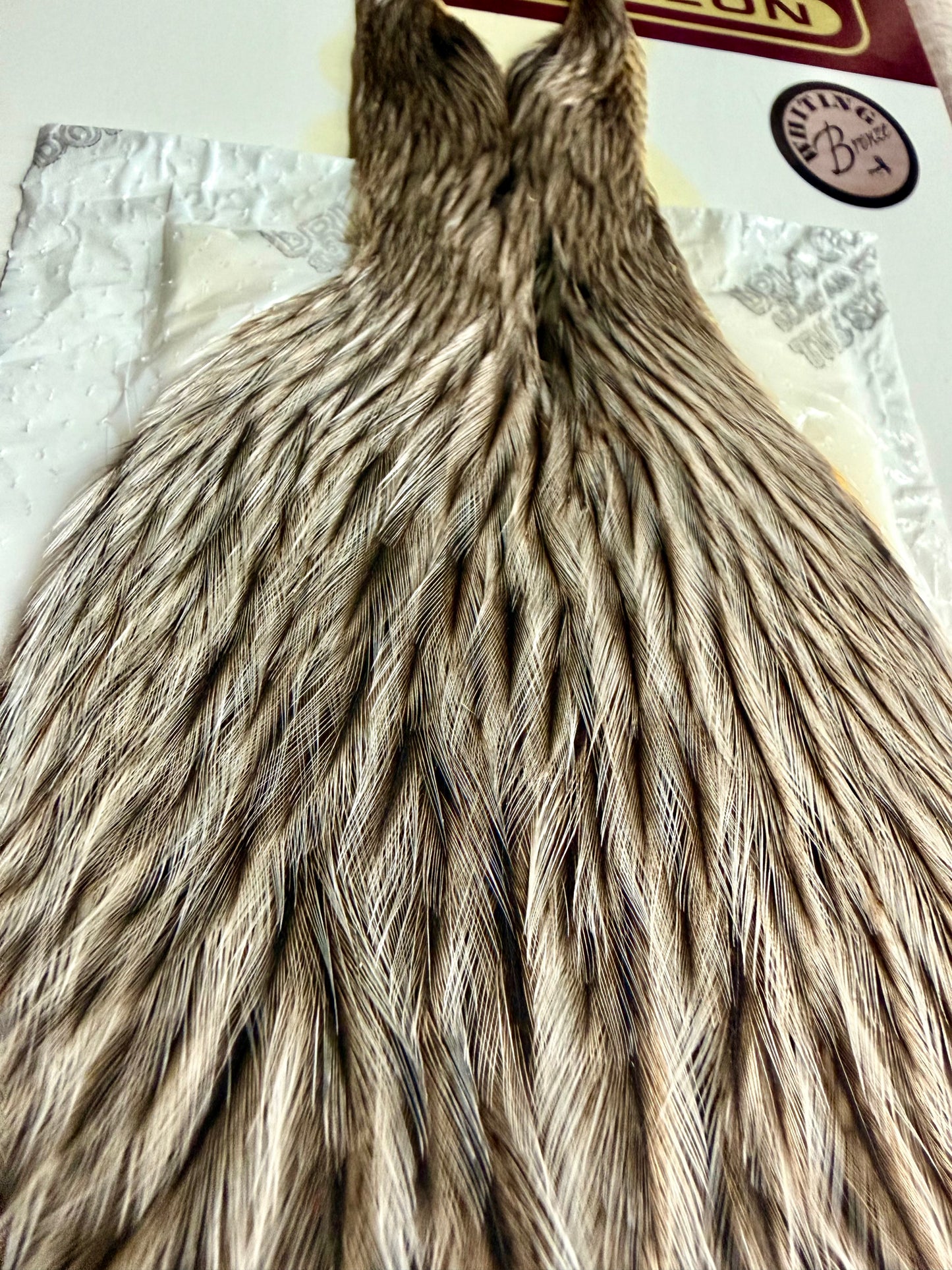 Whiting Coq de Leon Bronze Hen Cape Silver Speckled 749-SH-E-L