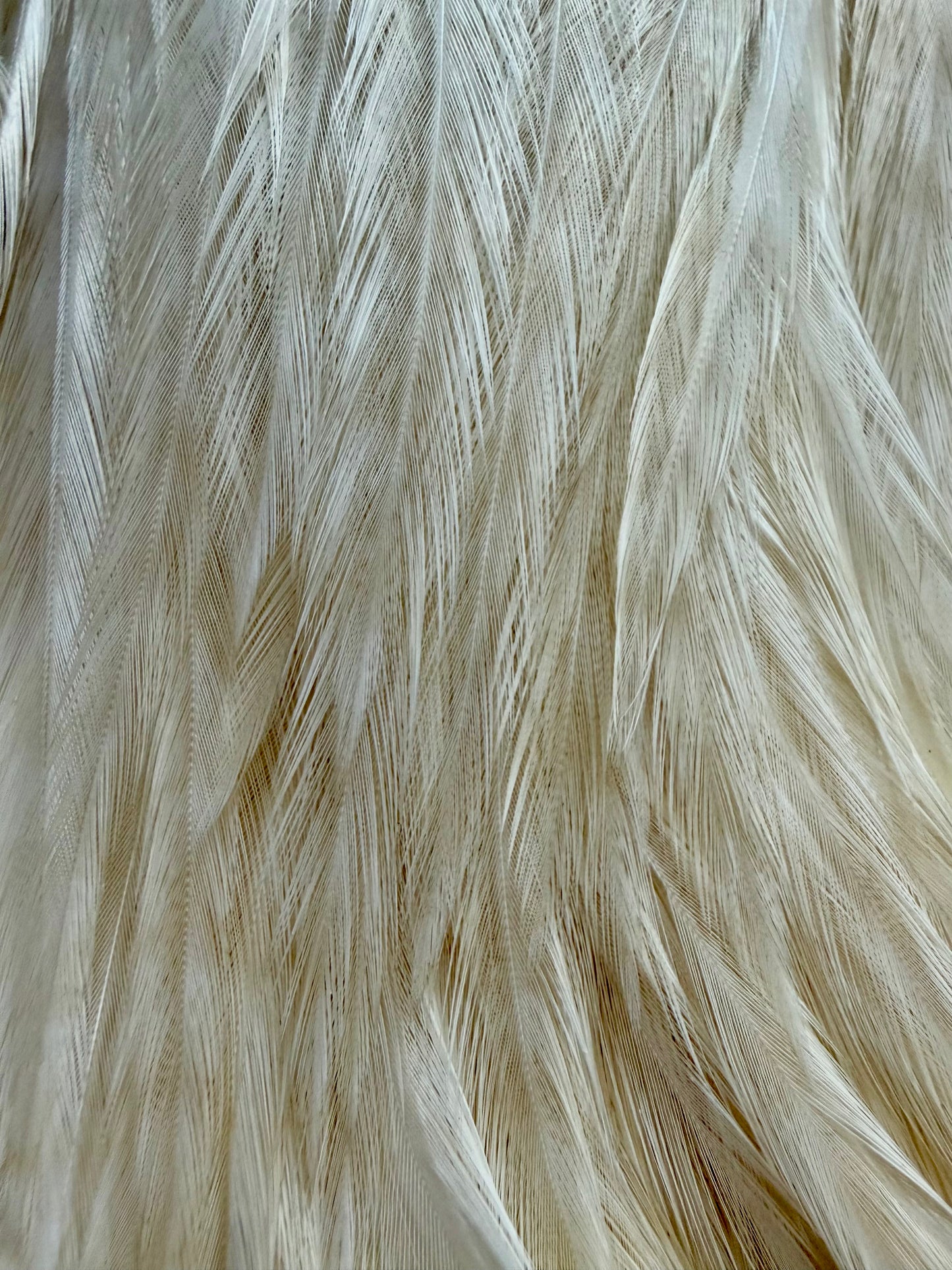 Whiting Farms Bugger Pack White 727-SH-E-L