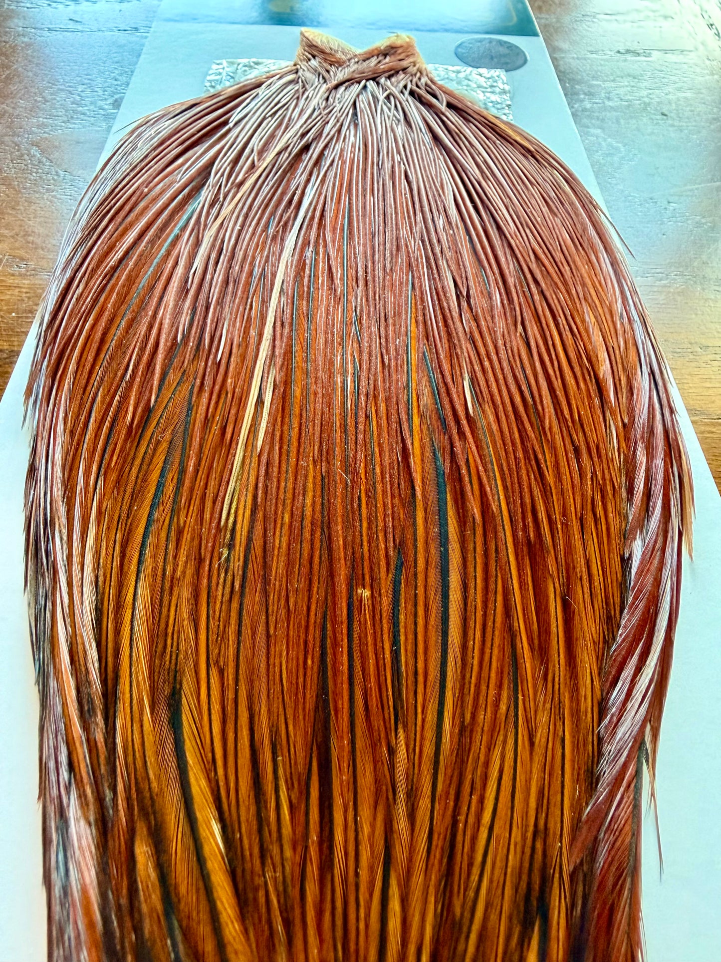 Whiting Hebert Miner Bronze Cape Medium Brown 398-SH-E-L