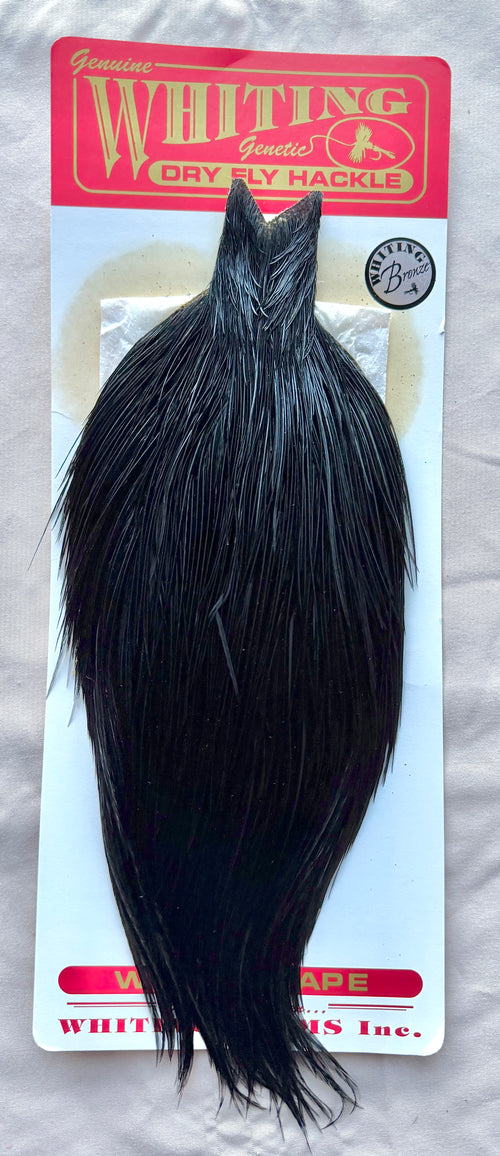 Whiting Farms Bronze Grade Cape Black 193-SH-E-L