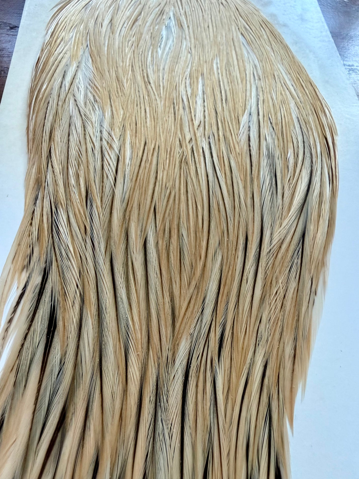 Hoffman Grade 2 Rooster Cape, Light Ginger 509-SH-E-L