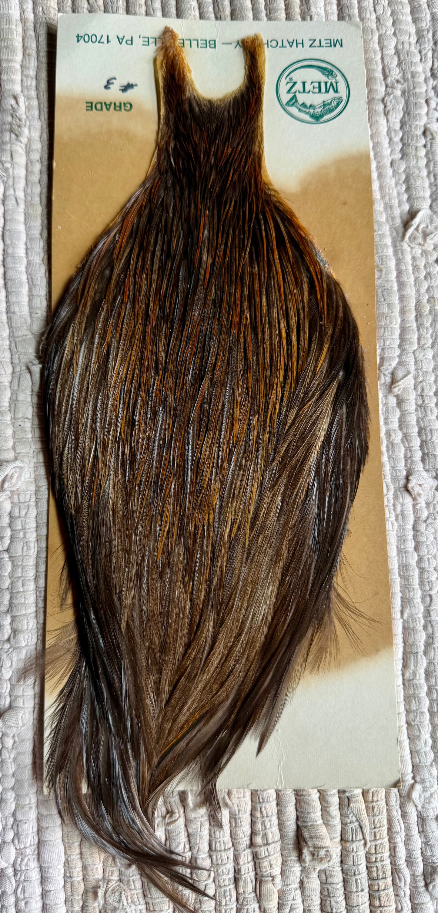 Metz Grade #3 Cape Chocolate Dun 758-SH-E-L