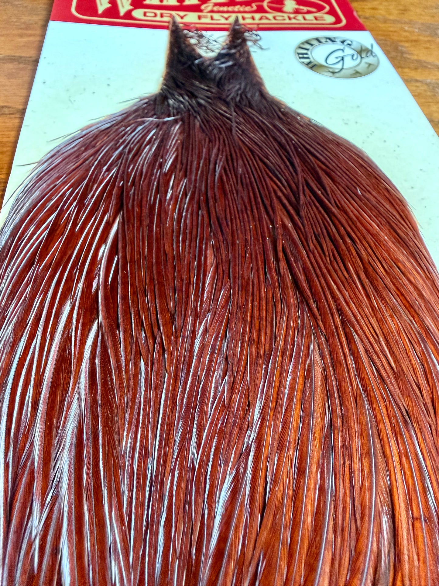 Whiting Gold Grade Rooster Cape Coachman Brown 633-SH-E-L
