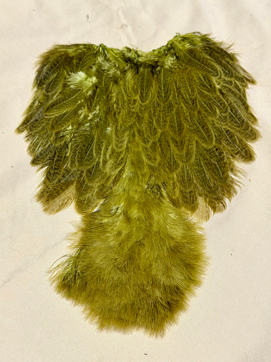 Whiting Farms Soft Hackle Brahma Hen Chickabou Pelt Mottled Gray dyed Olive 205-SH-E-L