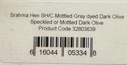Whiting Farms Soft Hackle Brahma Hen Chickabou Pelt Mottled Gray dyed Dark Olive Speckled 211-SH-E-L