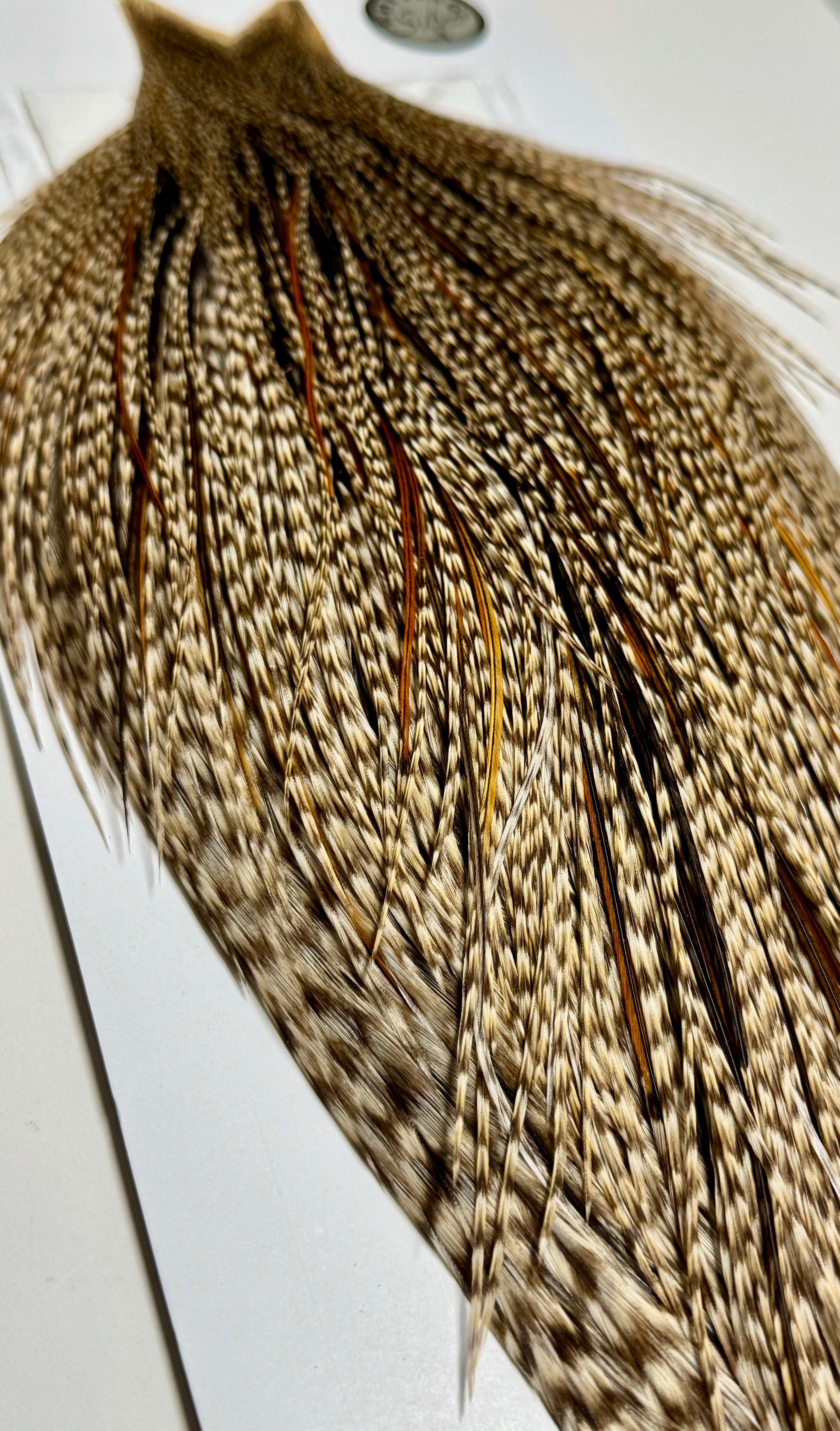 Whiting Farms SILVER Cape: Dun Grizzly- Hint of Dun Cree
