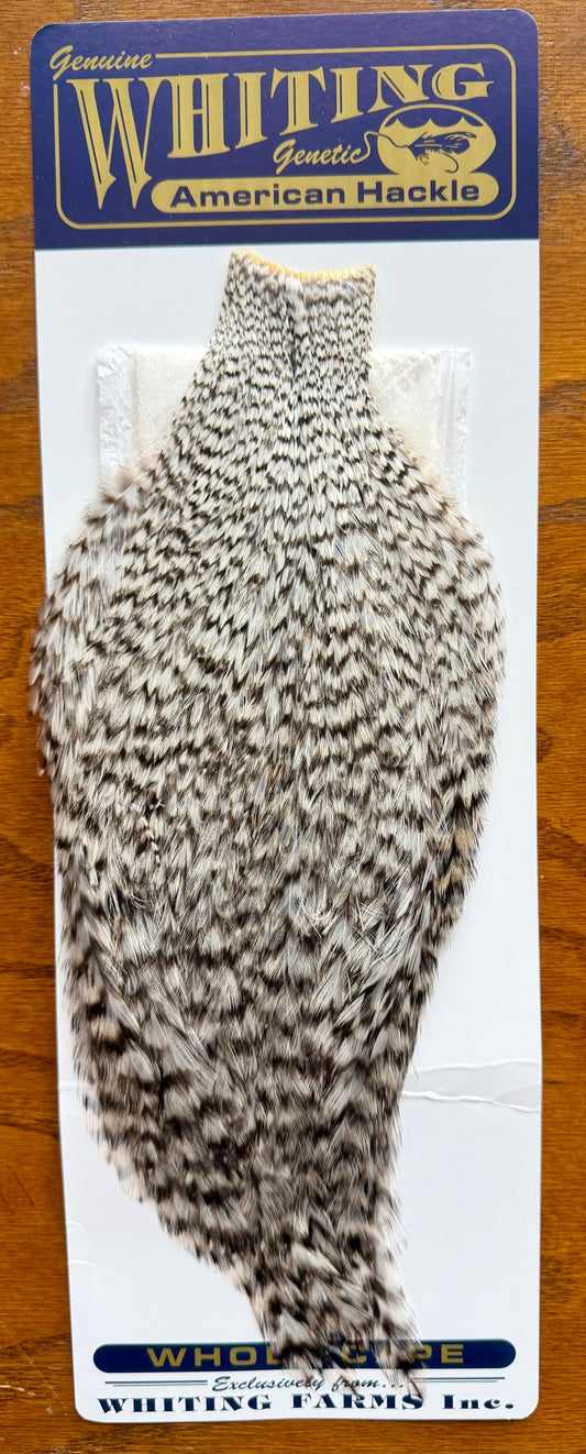 Whiting American Hackle Whole Cape: Grizzly 373-SH-E-L
