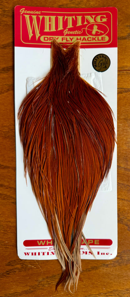 Whiting Gold Grade Rooster Cape Brown 803-SH-E-L