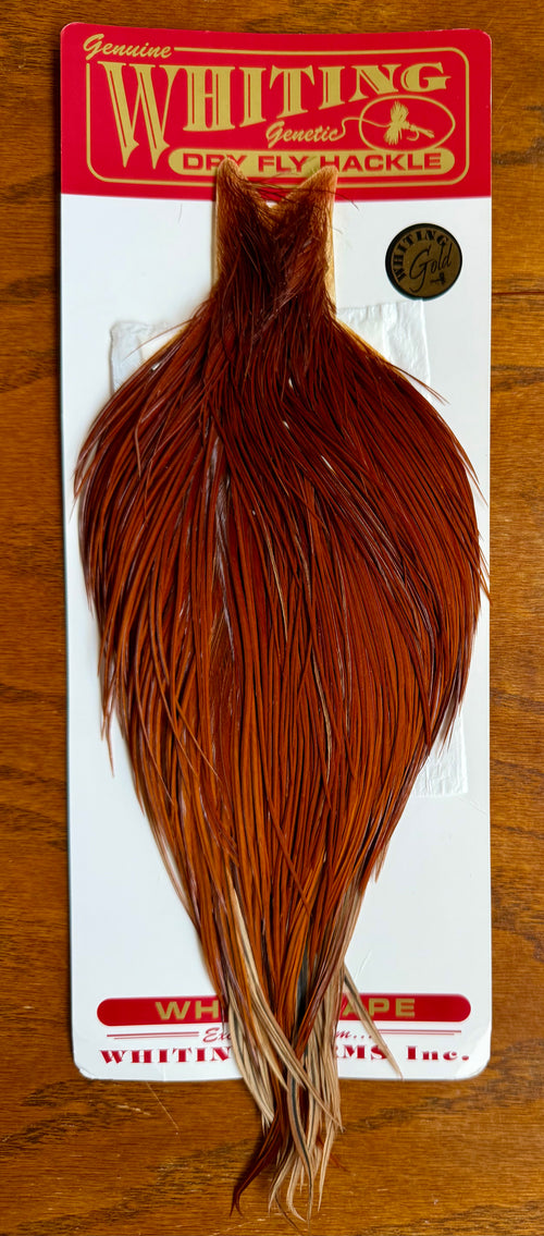 Whiting Gold Grade Rooster Cape Brown 803-SH-E-L
