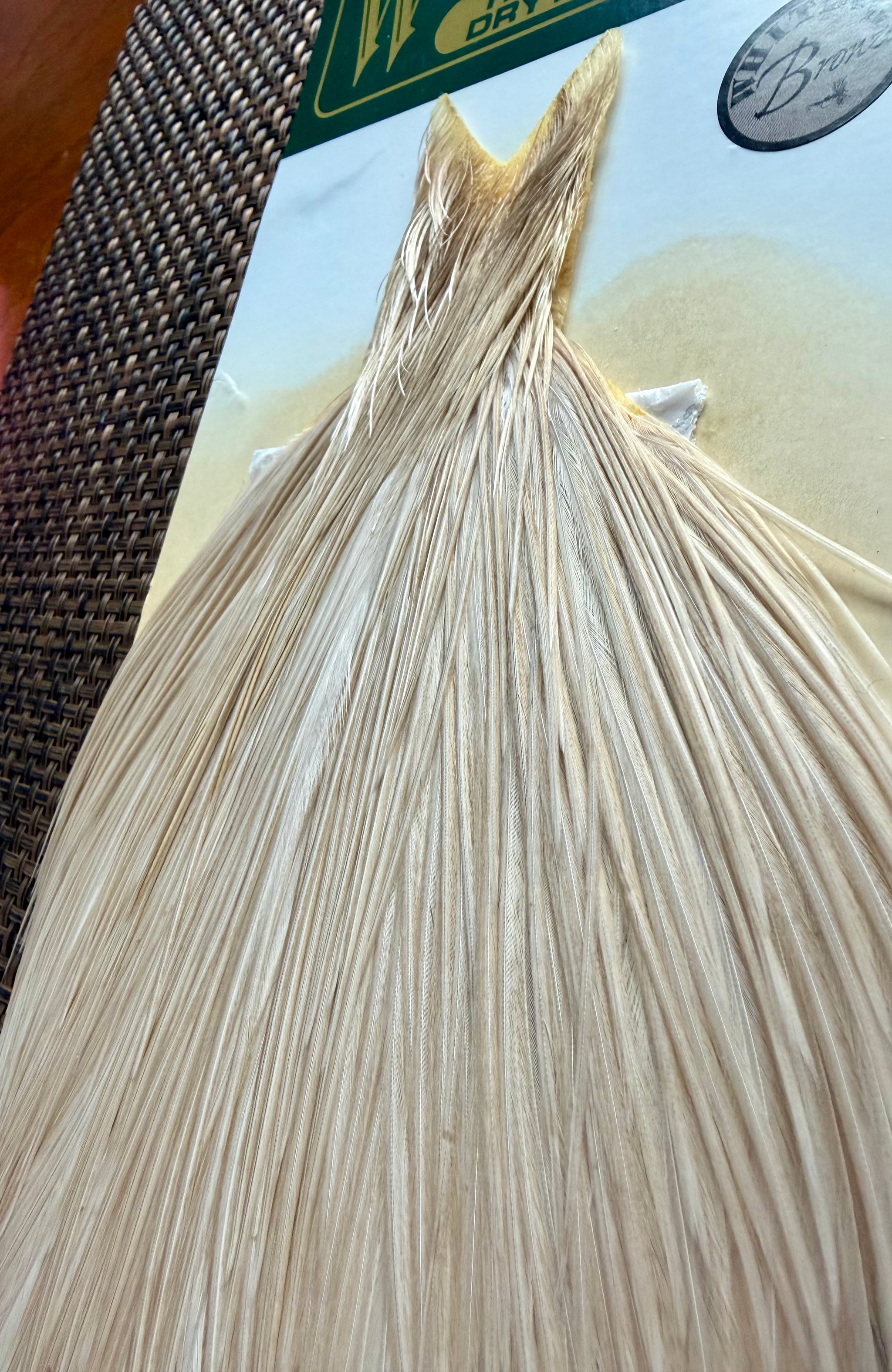 Whiting Farms Hebert Miner Bronze Grade Cape Pale Watery Dun 290-SH-E-L