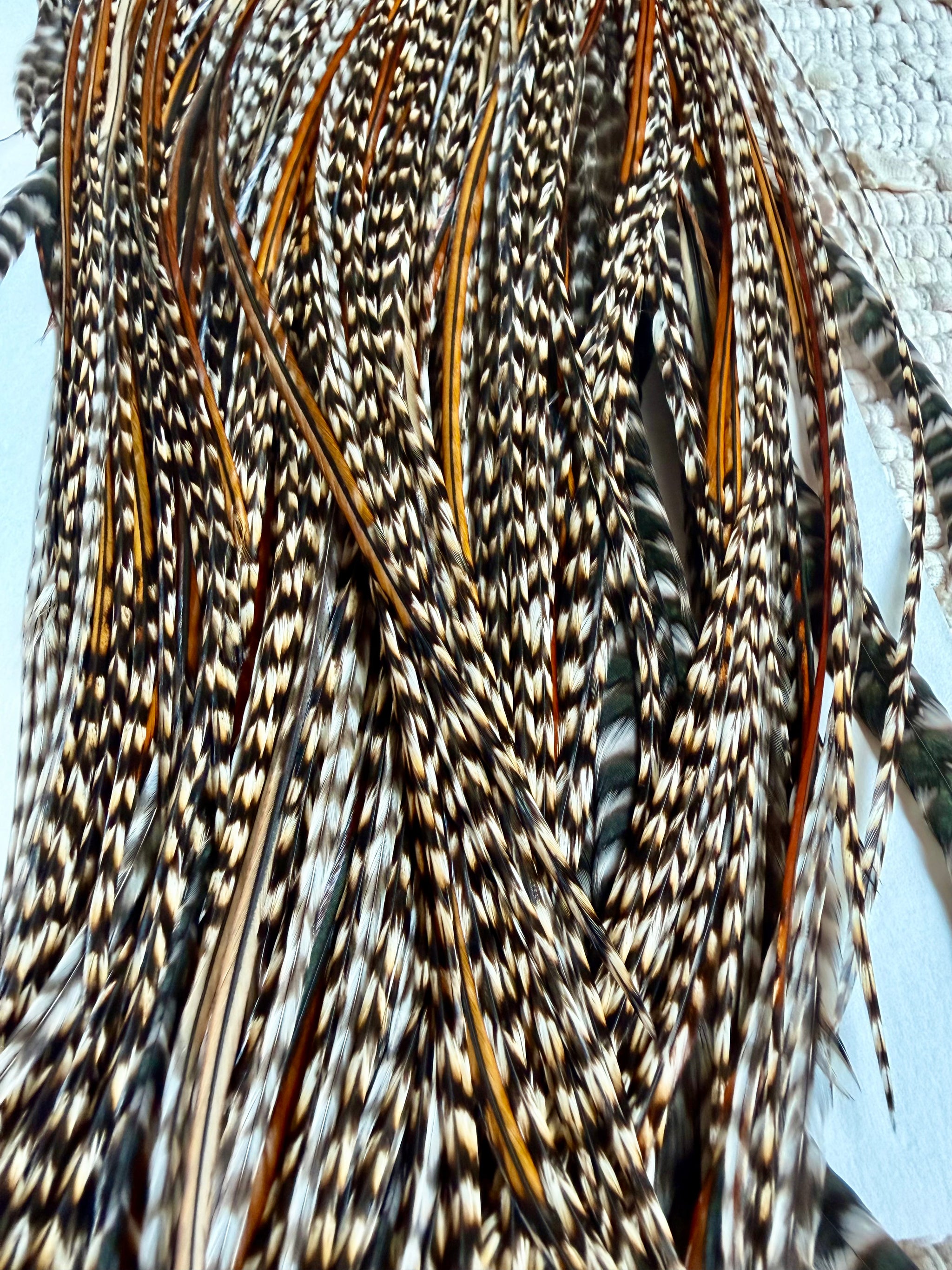 Whiting Hebert Gold Grade Rooster Saddle CREE 808-SH-E-L