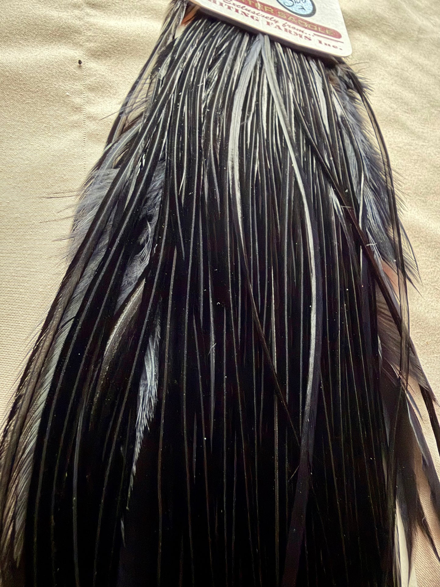 Whiting Silver 1/4 Saddle Large Black 299-SH-E-L