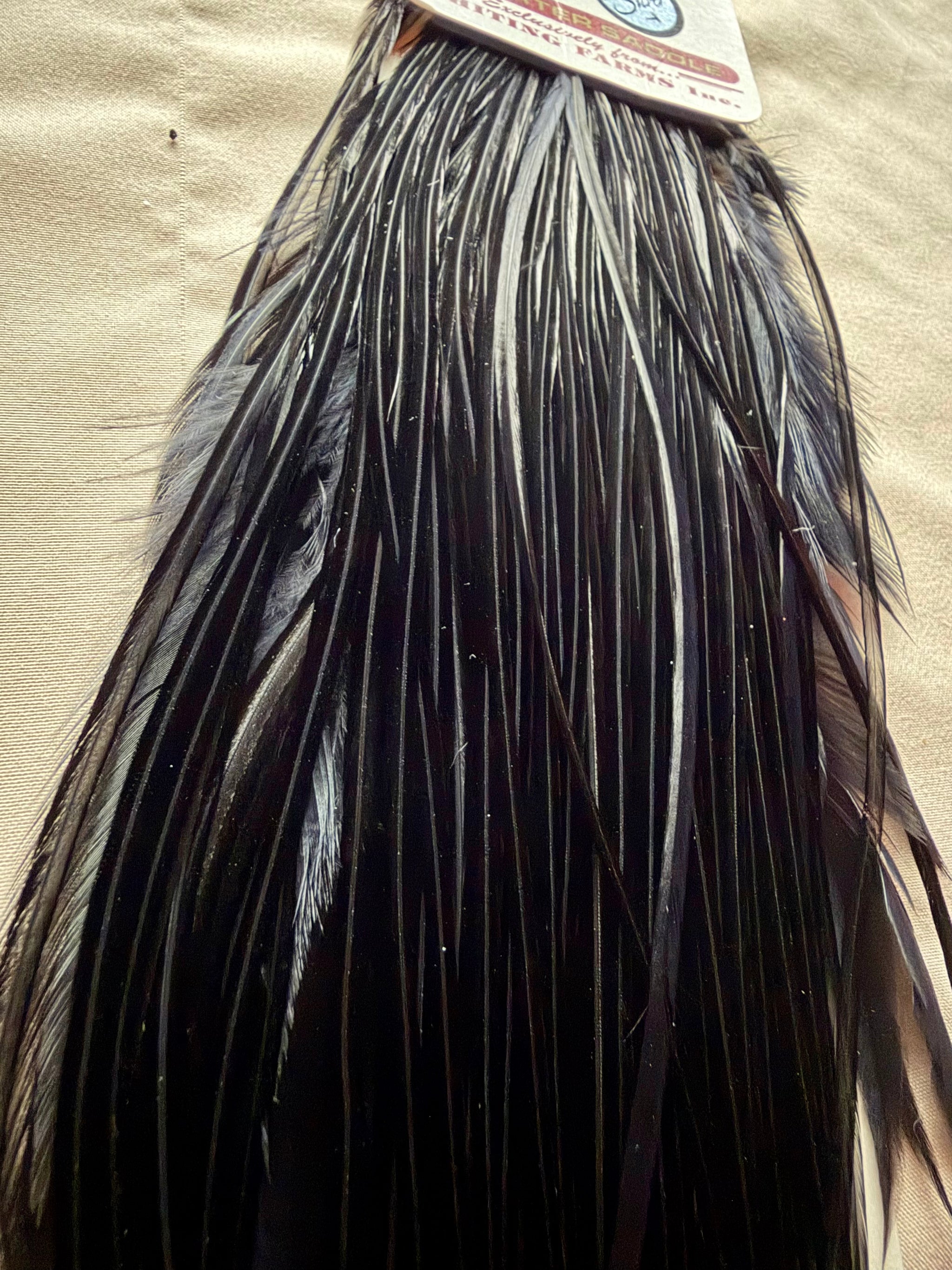 Whiting Silver 1/4 Saddle Large Black 299-SH-E-L