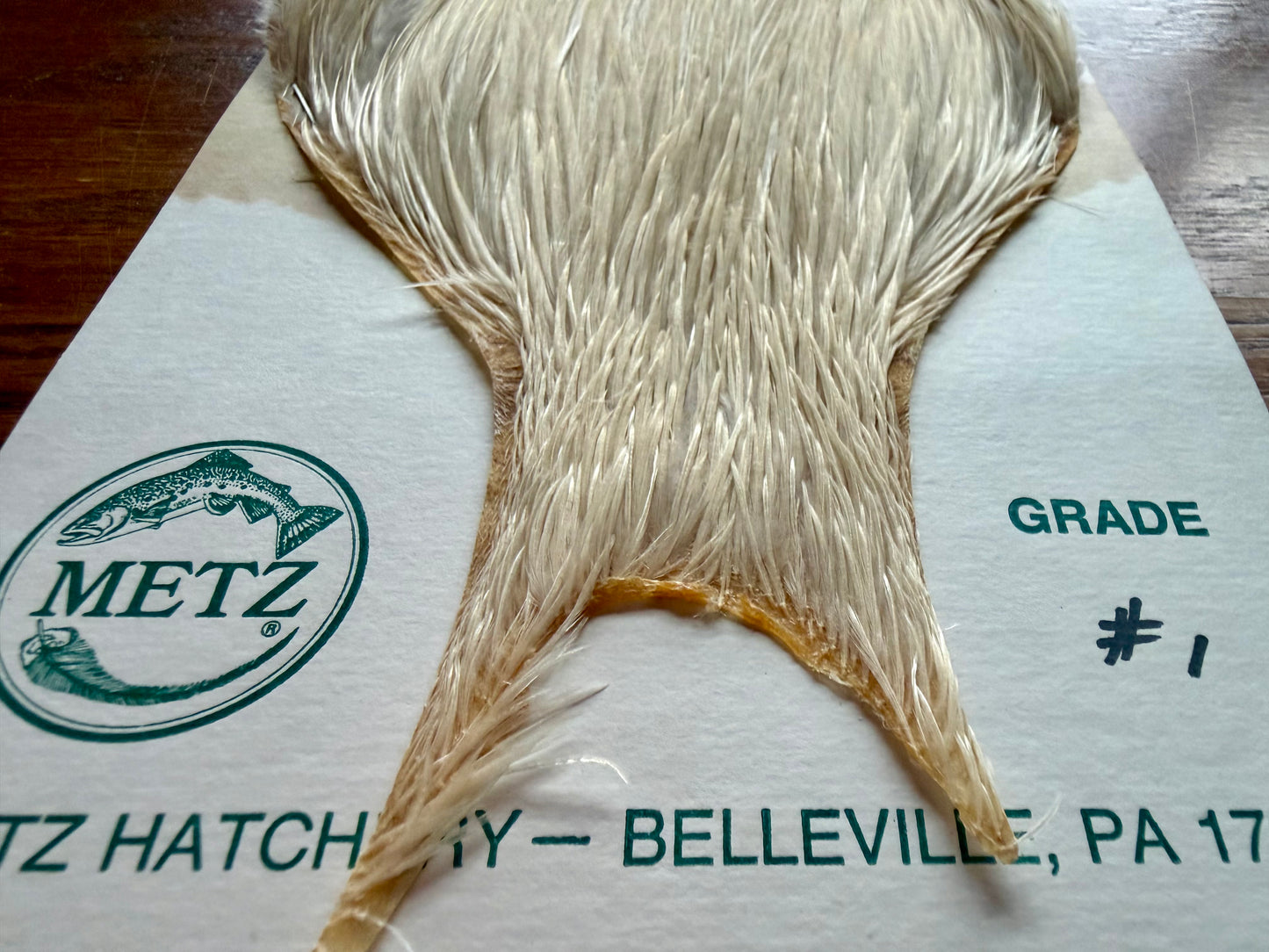 Metz Grade #1 Cape Cream 538-SH-E-L