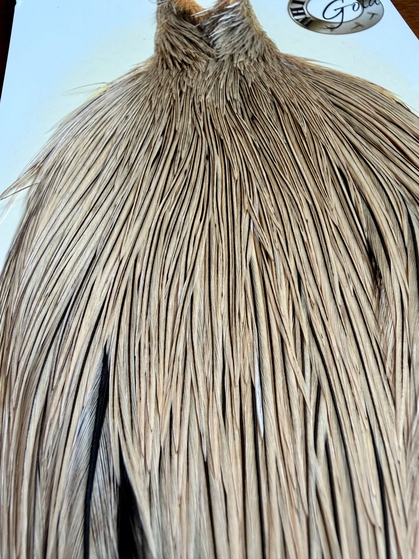 Whiting Gold Grade Rooster Cape Golden Badger 634-SH-E-L