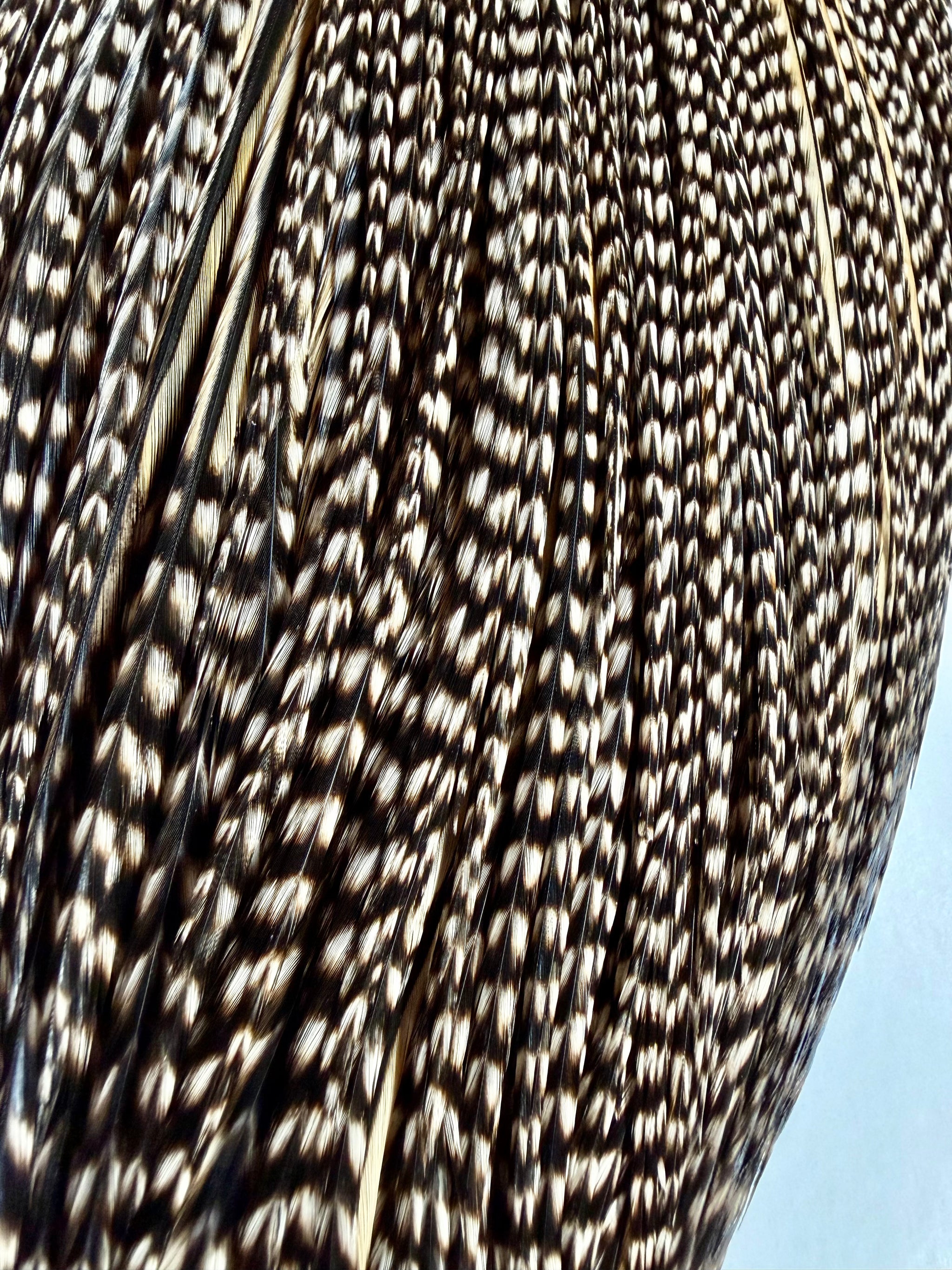 Whiting Farms Pro Grade Cape Grizzly Variant: Cree Wannabe 704-SH-E-L