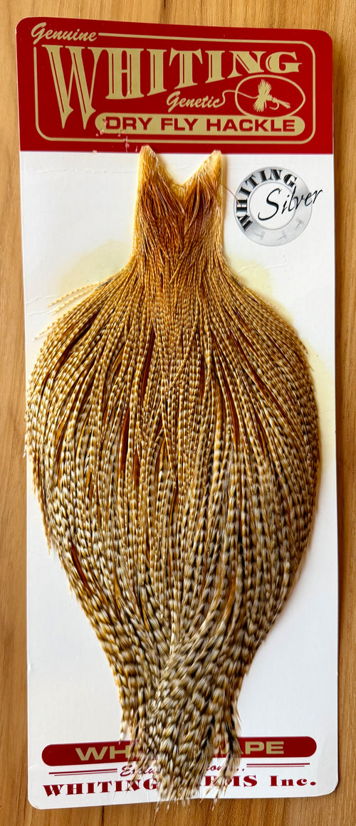 Whiting Farms Silver Rooster Cape Barred Dark Ginger 390-SH-E-L