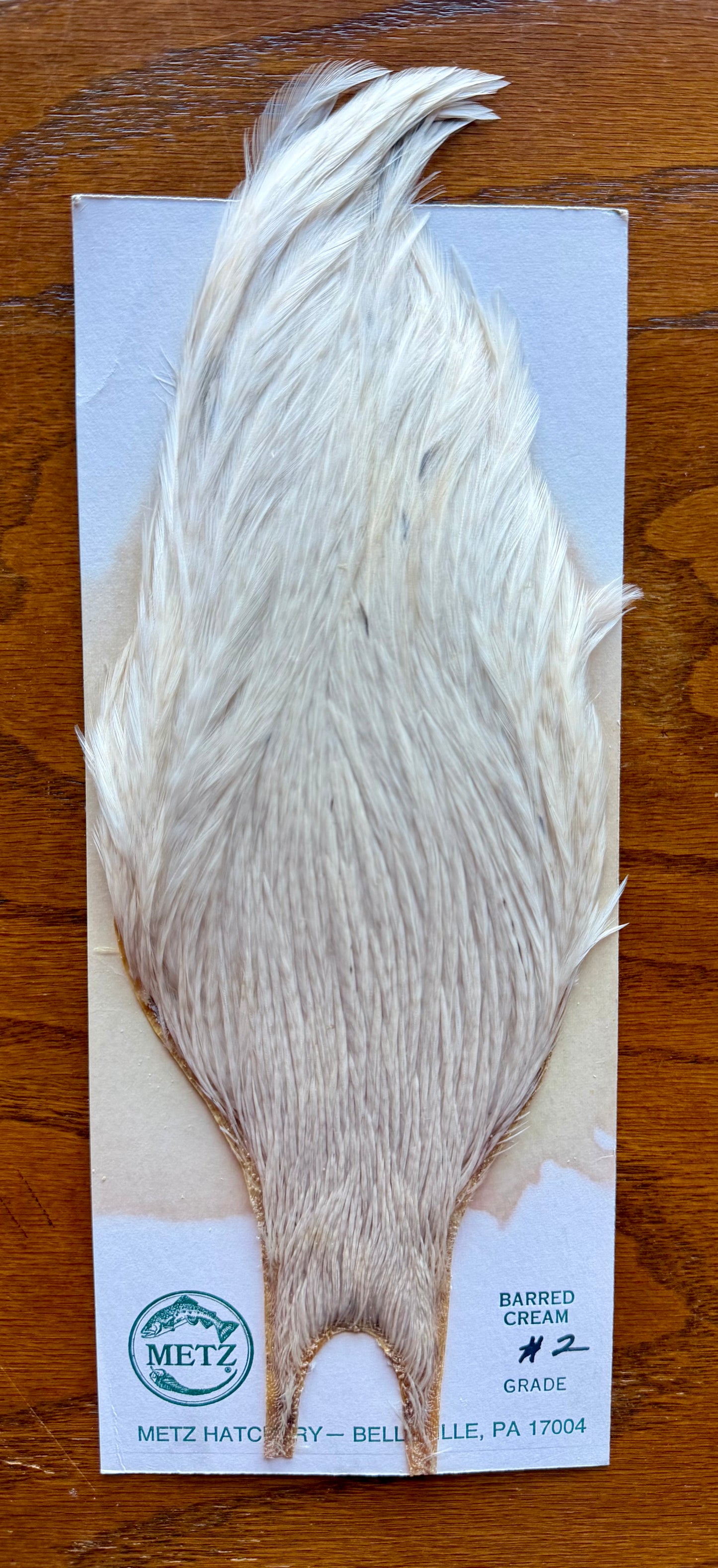 Metz Cape Grade #2 Barred Cream 426-SH-E-L