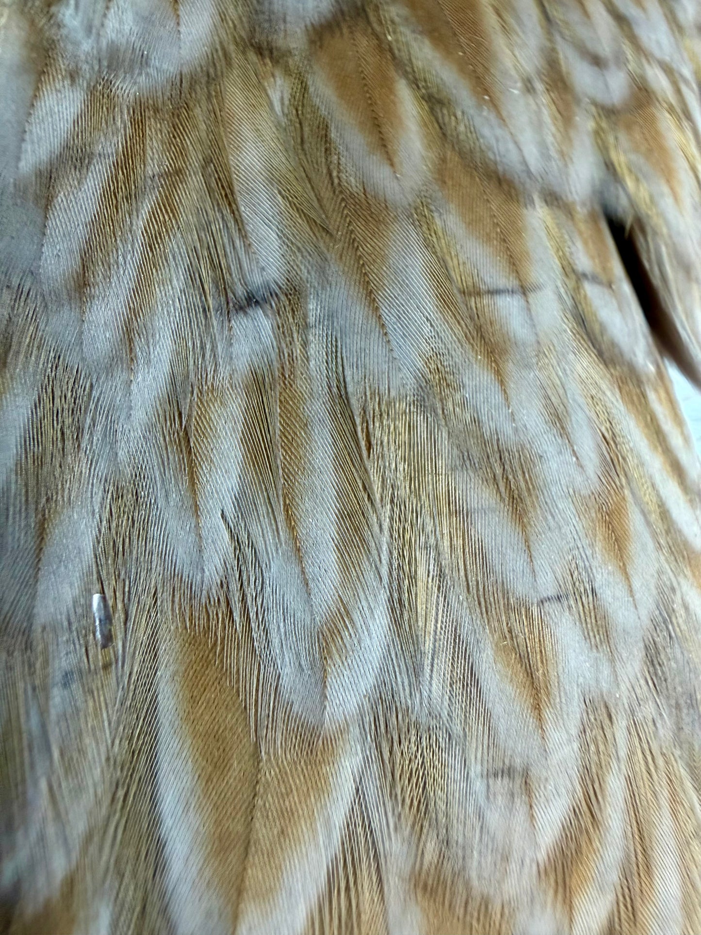Hen Cape Mixed Variant 699-SH-E-L