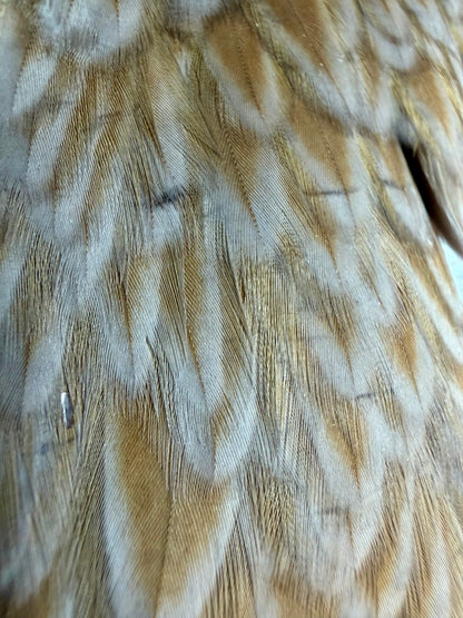 Hen Cape Mixed Variant 699-SH-E-L