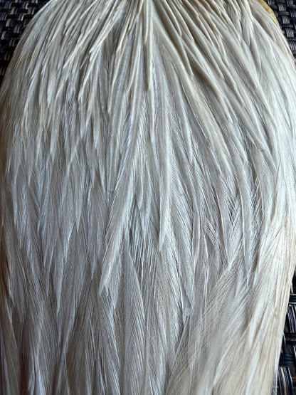 Whiting Hebert #3 Grade Cape Cream 848-SH-E-L