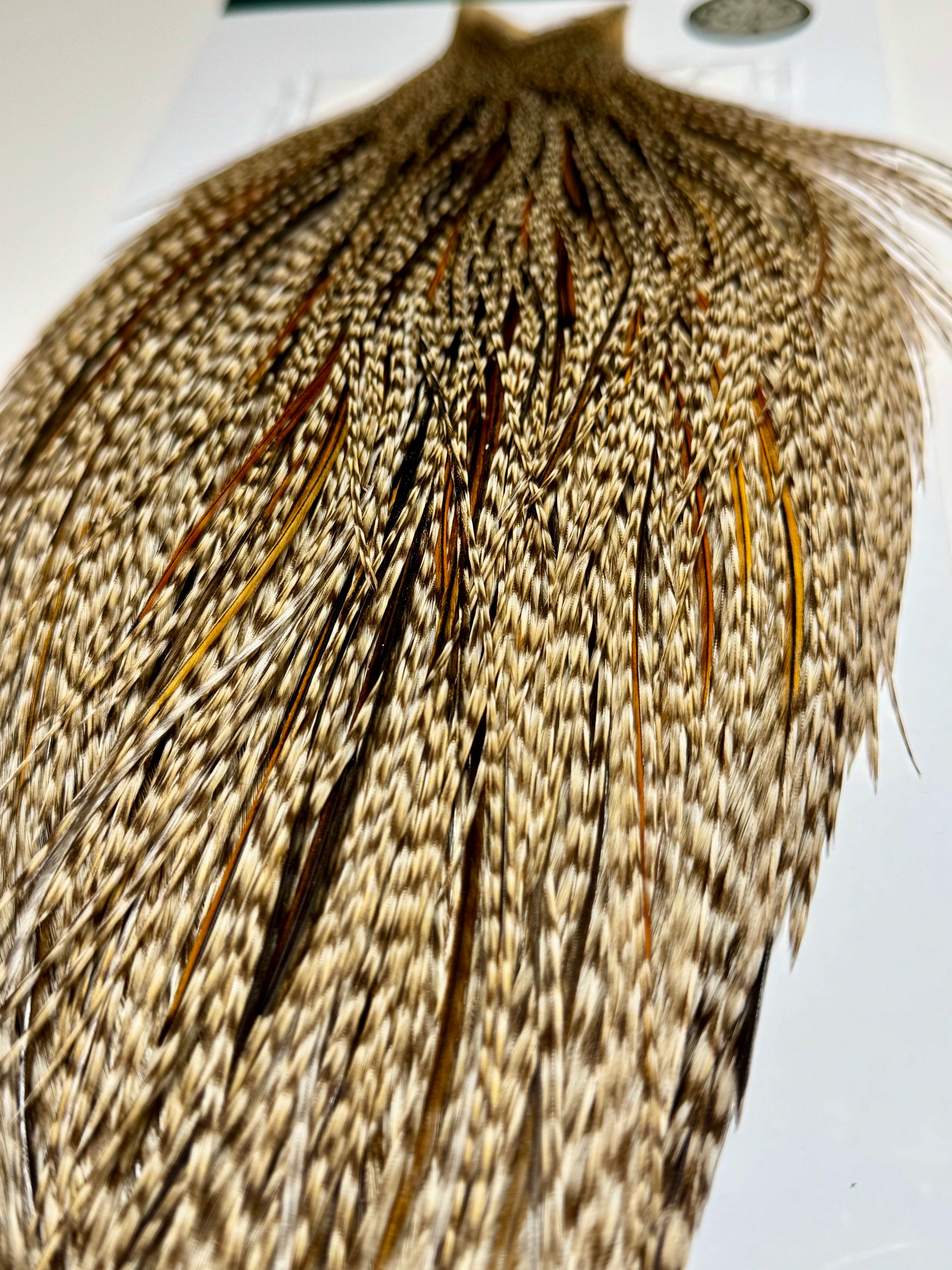 Whiting Farms SILVER Cape: Dun Grizzly- Hint of Dun Cree