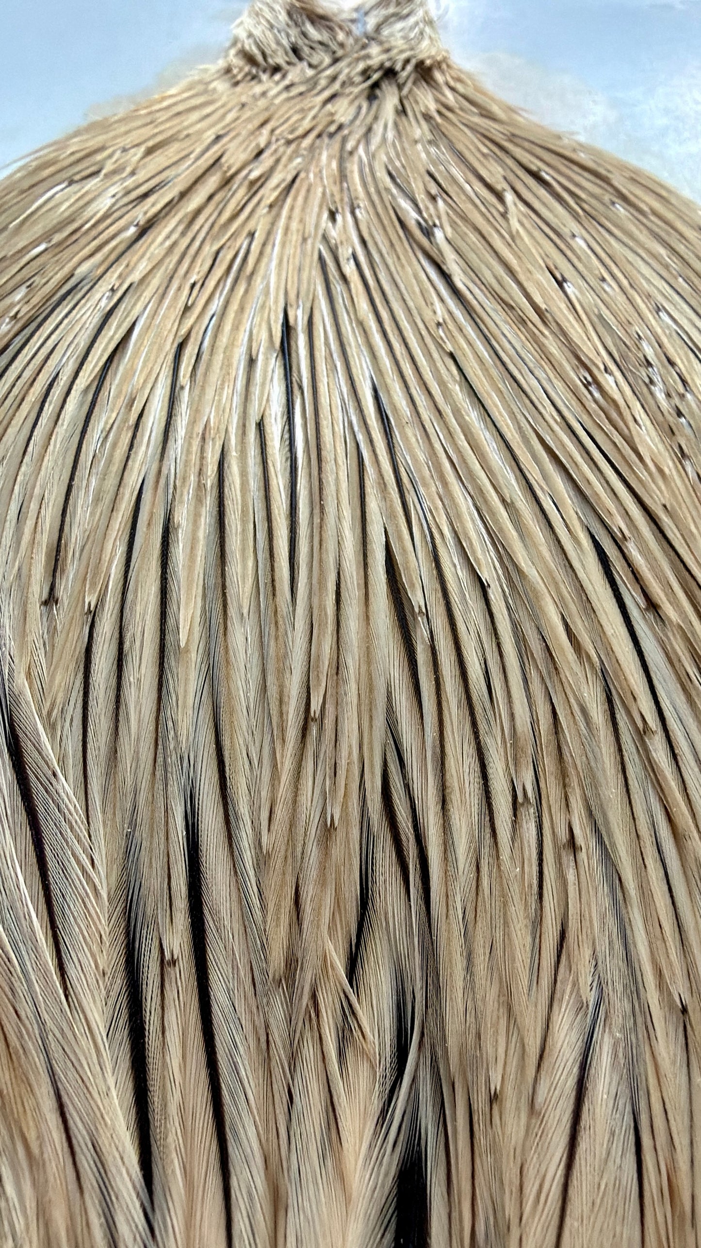 Hoffman Grade 2 Rooster Super Cape, Badger 511-SH-E-L