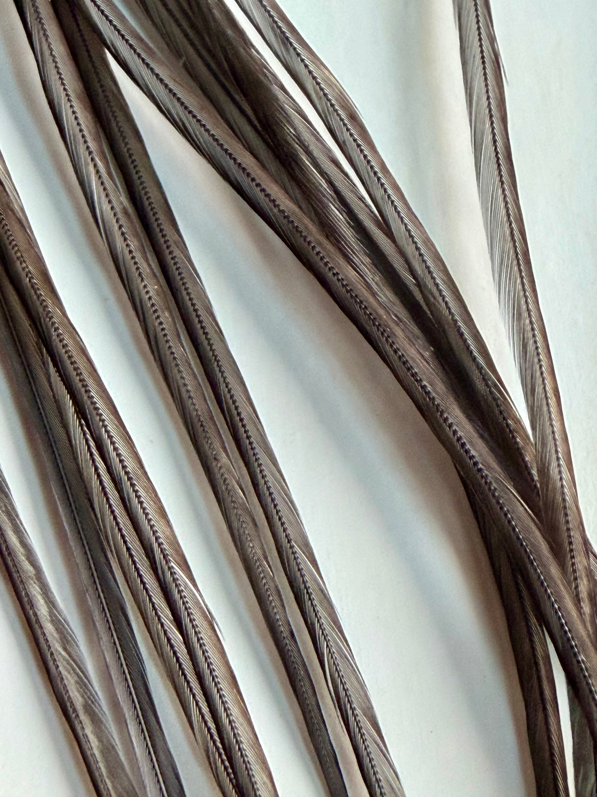 Whiting Dry Fly Hackle 100’s Size 18 Dark Dyed Dun 826-SH-E-L
