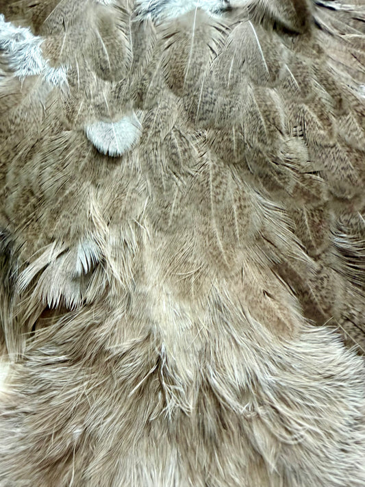 Whiting Brahma Hen Soft Hackle/Chickabou: Mottled White dyed Dark Brown 375-SH-E-L
