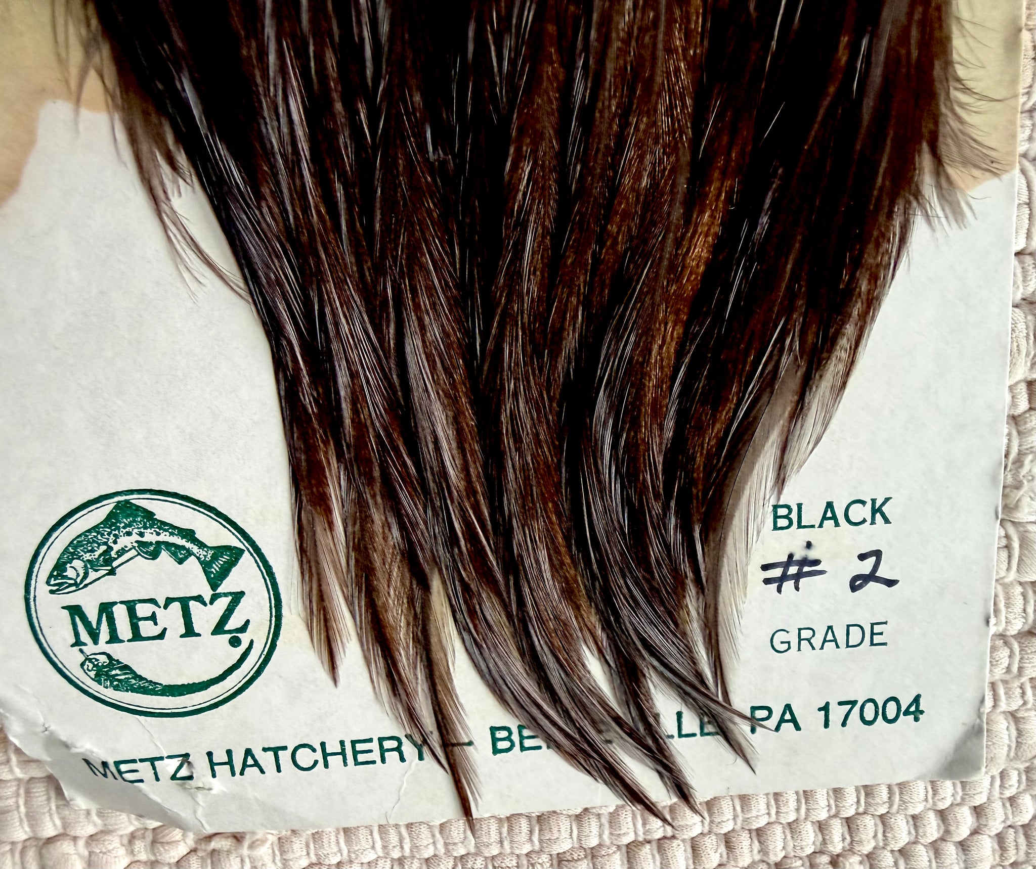 Metz Grade #2 Cape Black 828-SH-E-L