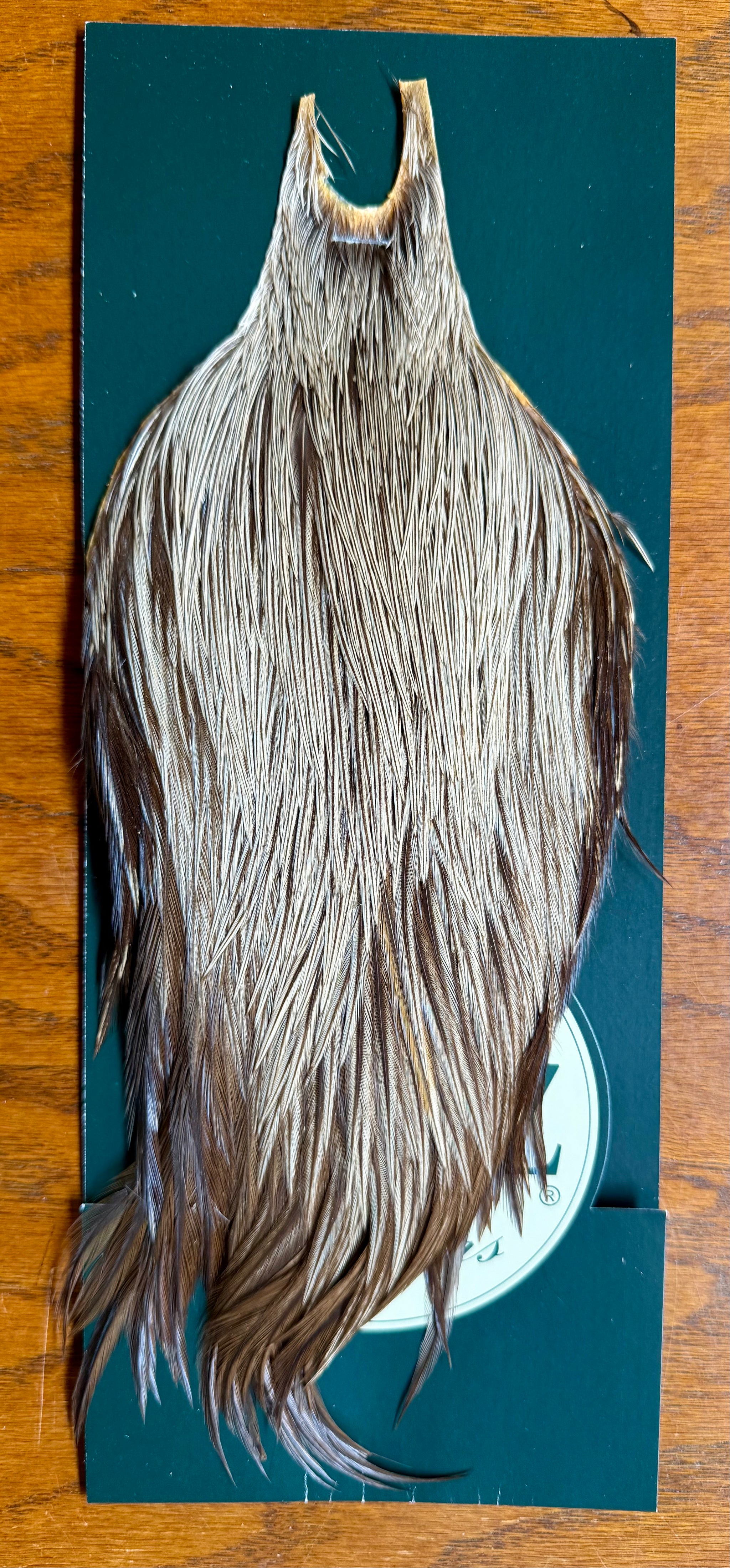 Metz Grade #1 Cape Variant 692-SH-E-L