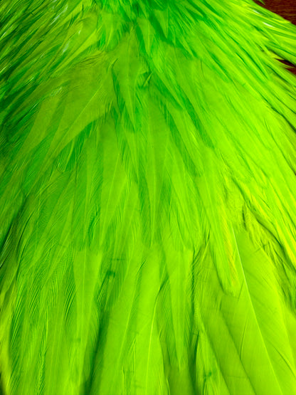 Whiting American Hackle Saddle White Dyed Fluo Green Chartreuse 741-SH-E-L