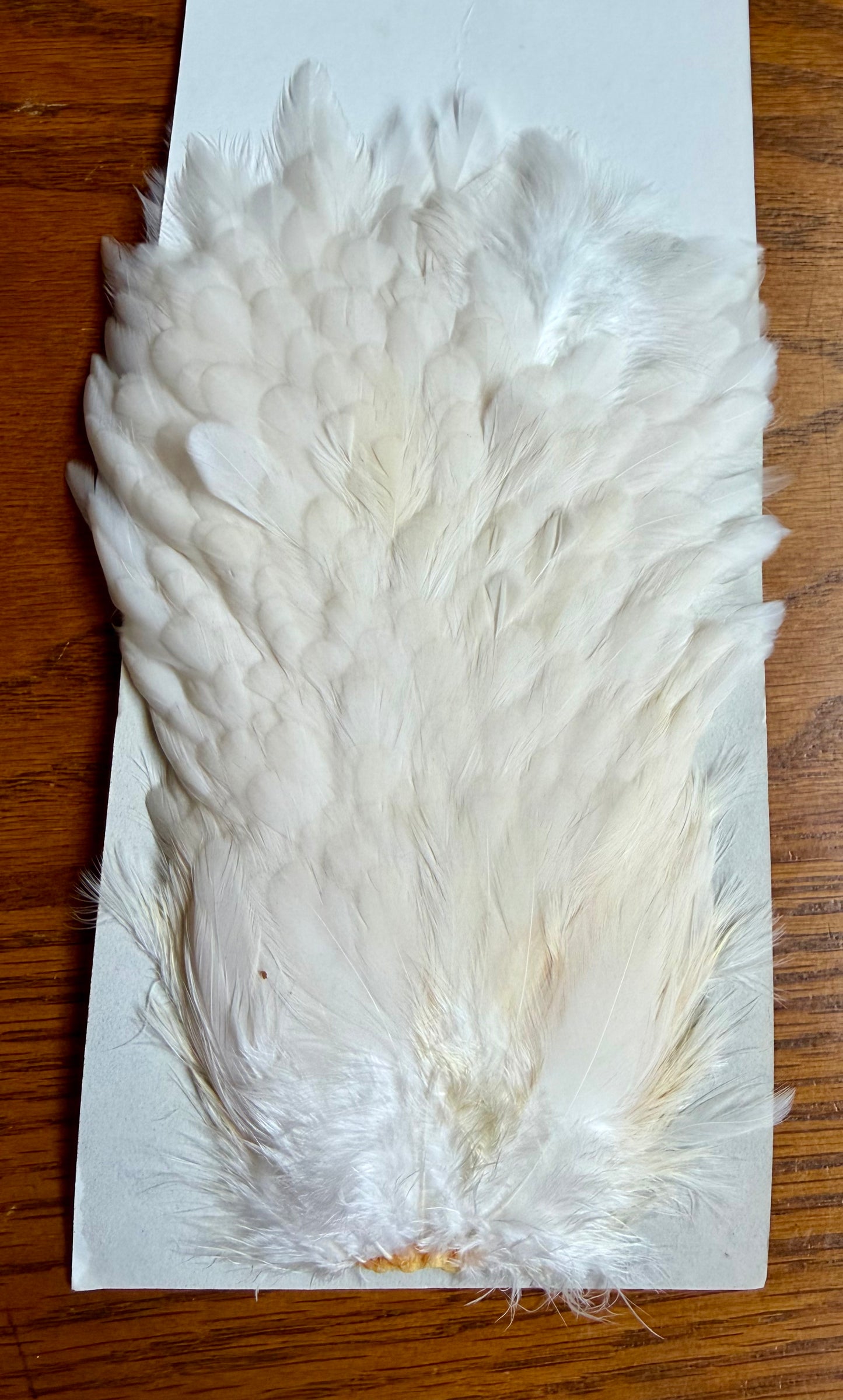 Metz Grade 2 Hen Cape & Hen Saddle Set - Cream 637-SH-E-L