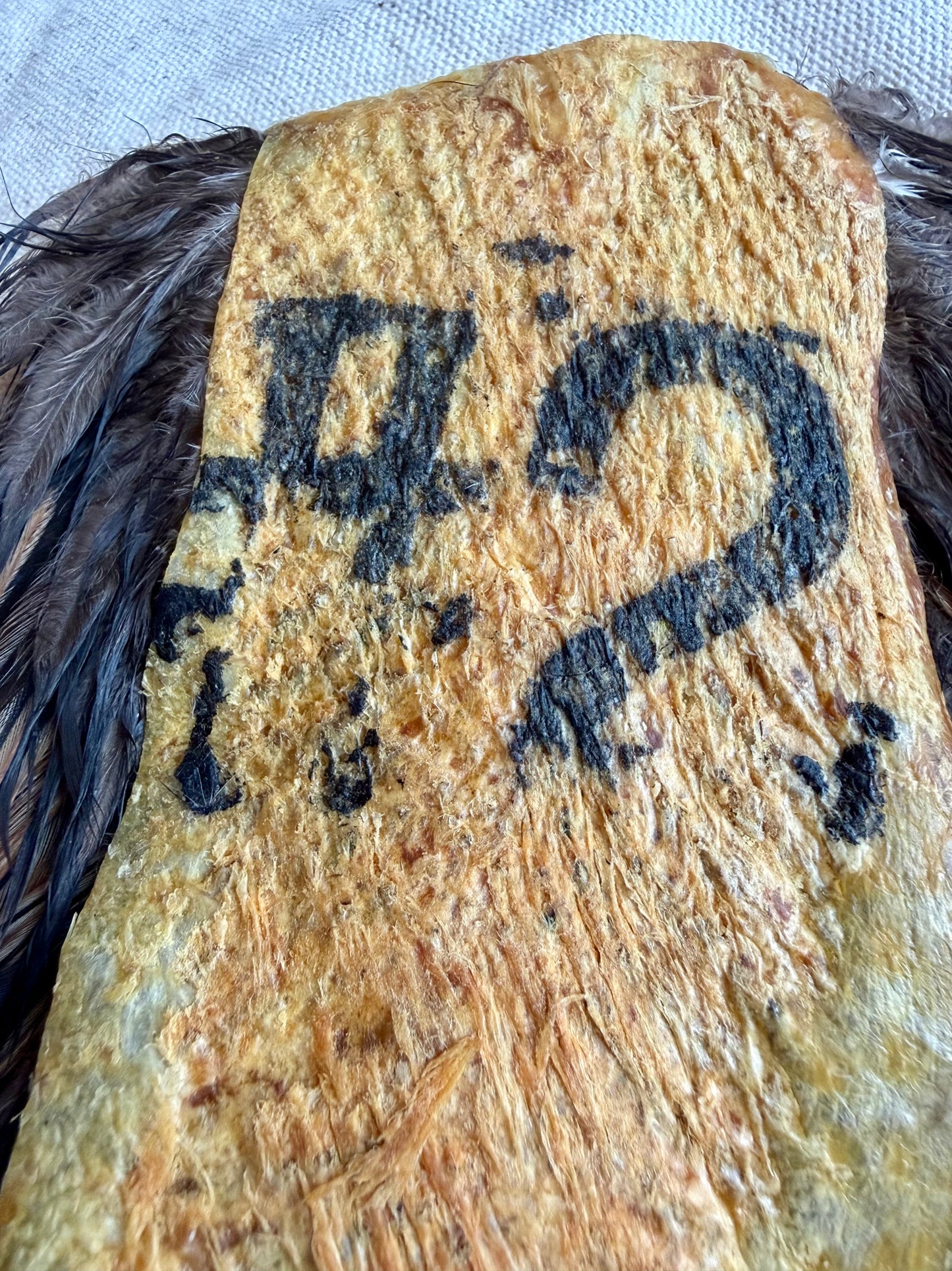 Rooster Saddle #2 Grade, Furnace 589-SH-E-L