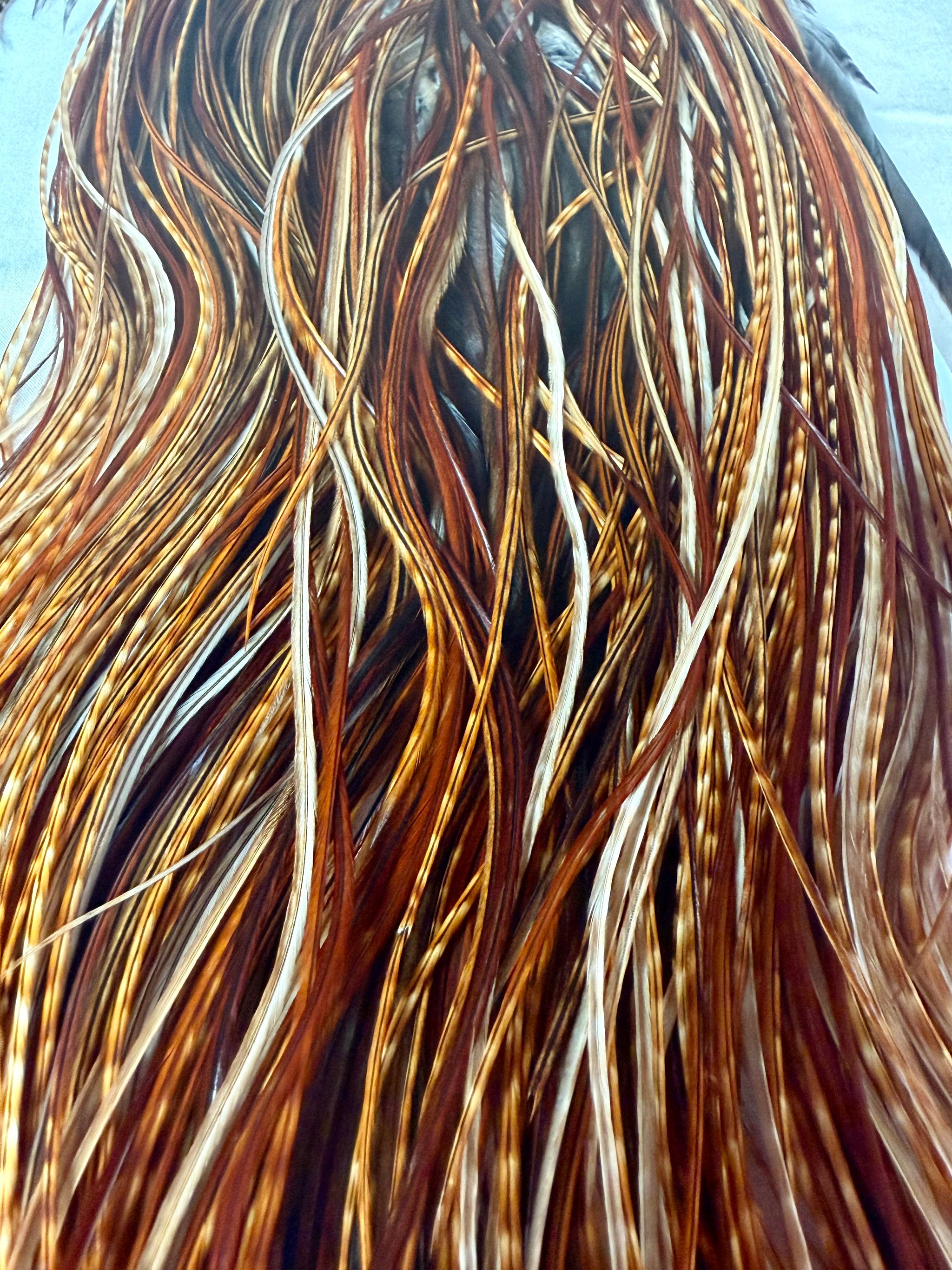 Whiting Silver-Grade Midge Rooster Saddle Barred Dark Ginger 198-SH-E-L