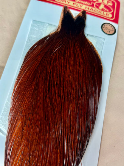 Whiting Farms Bronze Cape White dyed Coachman Brown 228-SH-E-L