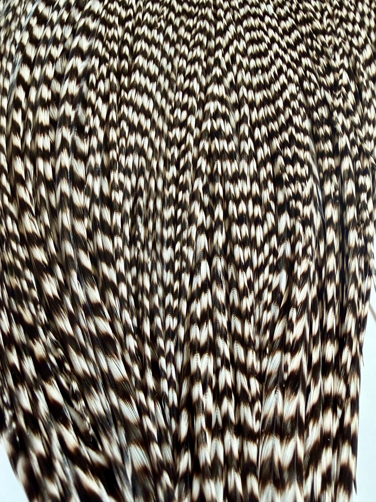Whiting Gold Grade Rooster Cape Grizzly 772-SH-E-L