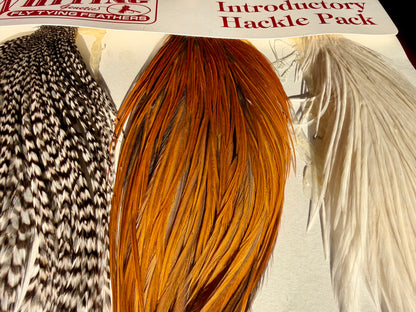Whiting Farms Introductory Hackle Pack - Three 1/2 Capes 682-SH-E-L