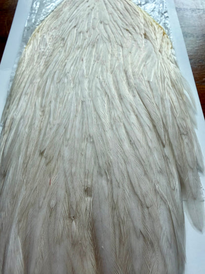 Whiting Farms Hebert Miner Hen Cape Cream 354-SH-E-L