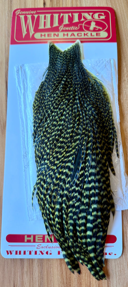 Whiting Farms Hen Cape Grizzly Dyed Olive 392-SH-E-L